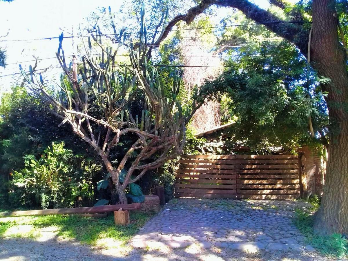 Terrazas Del Coya San Salvador de Jujuy Exterior foto