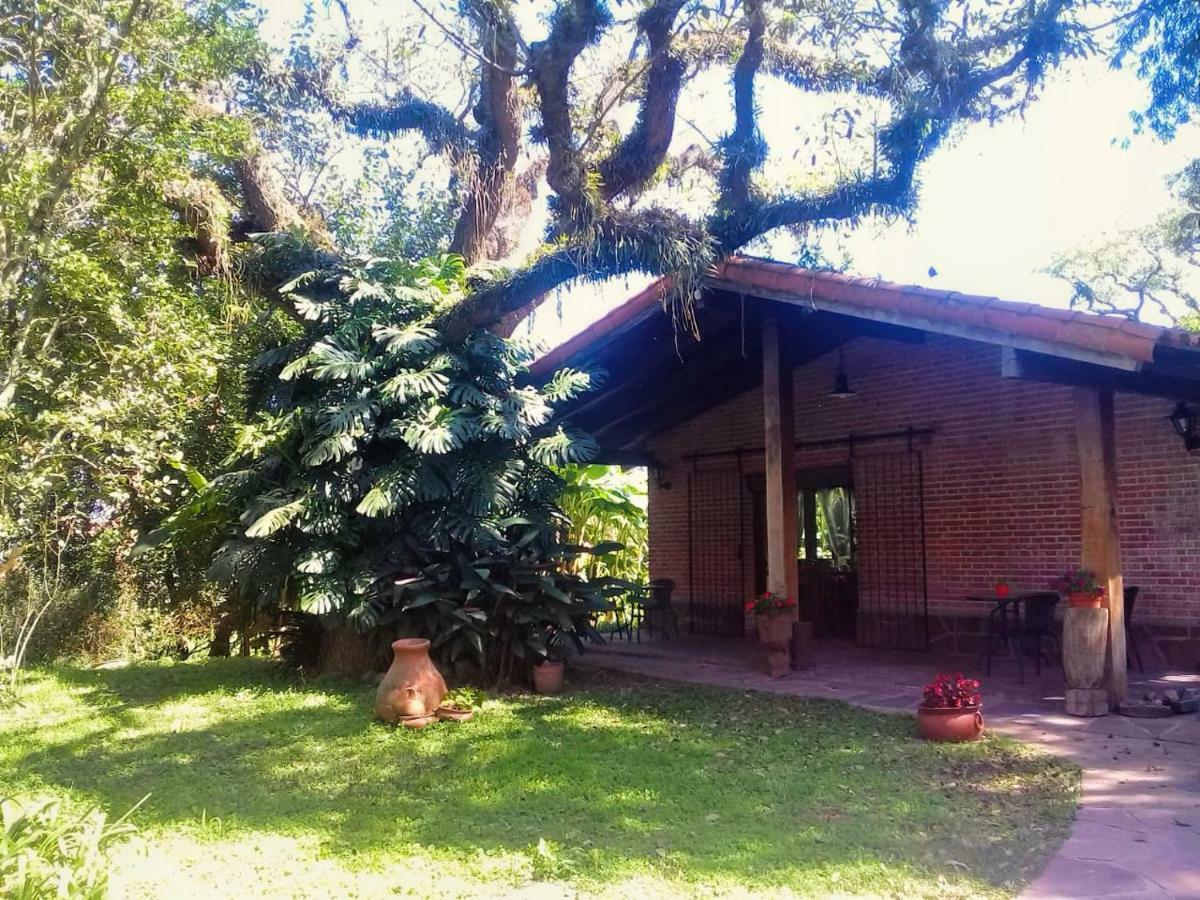 Terrazas Del Coya San Salvador de Jujuy Exterior foto